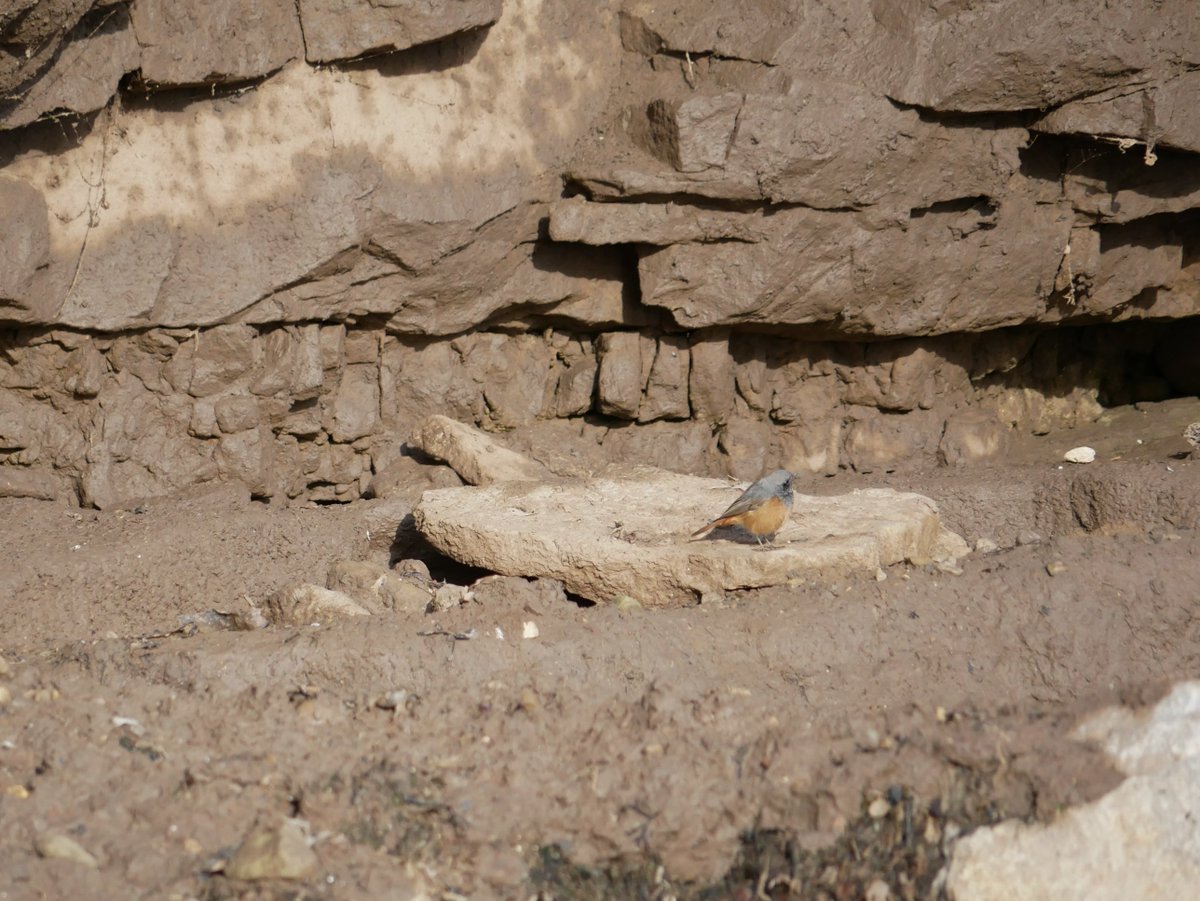 Gary Flakes tweet media