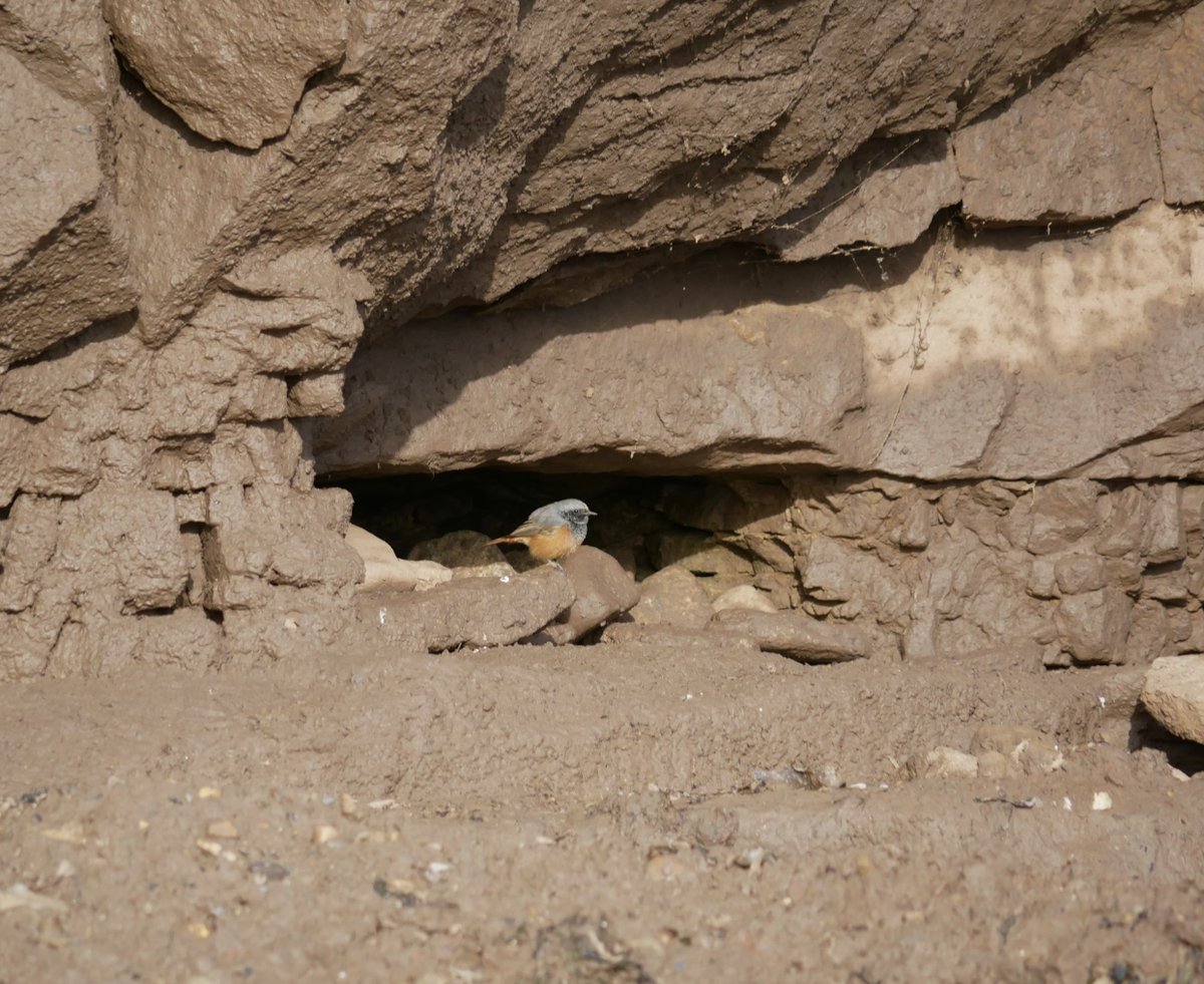 Gary Flakes tweet media