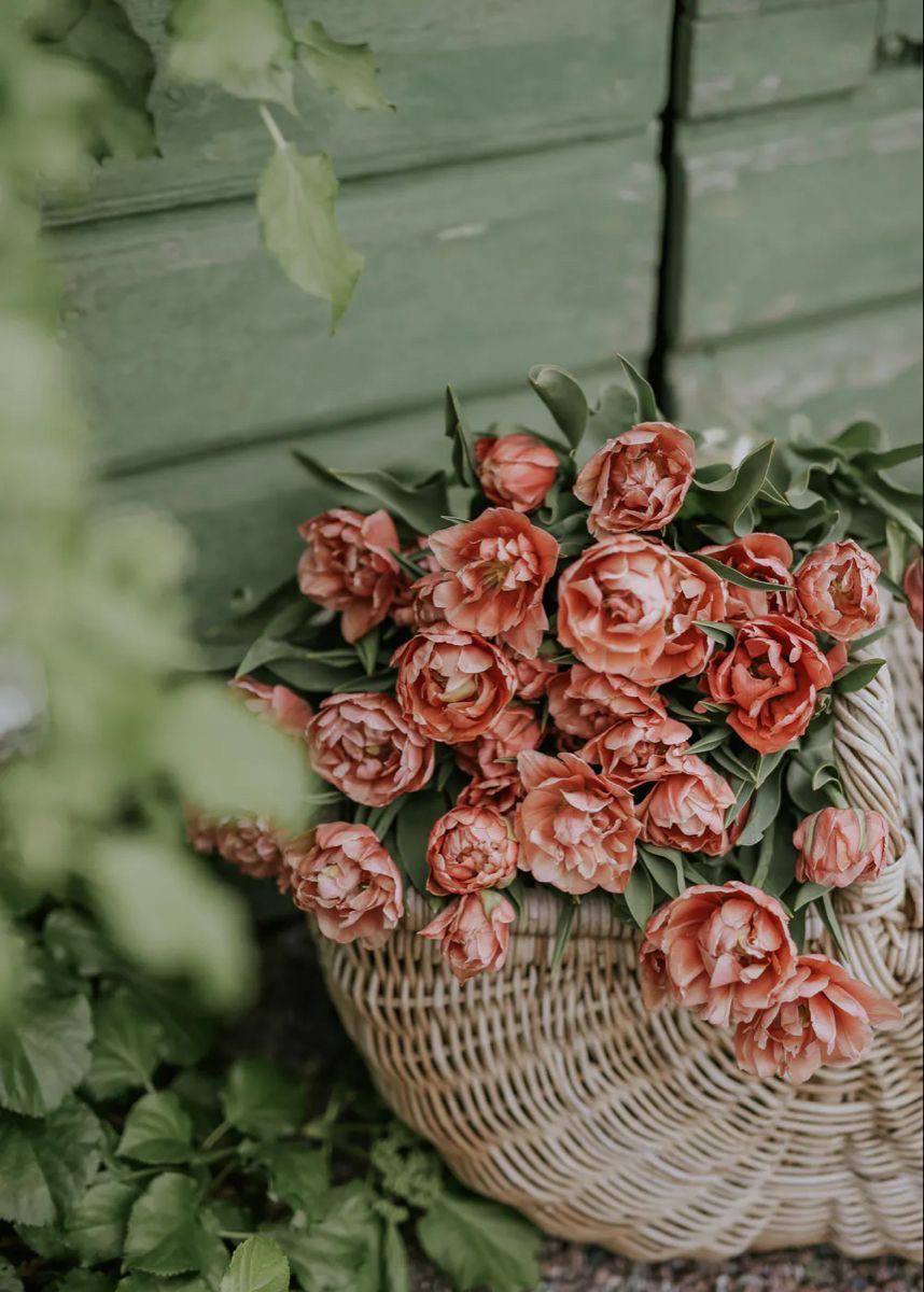 مساء الثقة

آراء الآخرين لا تُسدِّد فواتيرك،
ولا تُموِّل أعمالك،
ولا تُؤمّن لك طعاماً،
ولا تشتري لك ملابس.
دع الناس يتحدّثون .. وسِر في طريقك كما أنت ..

⁧ #حكمة_اليوم ⁩