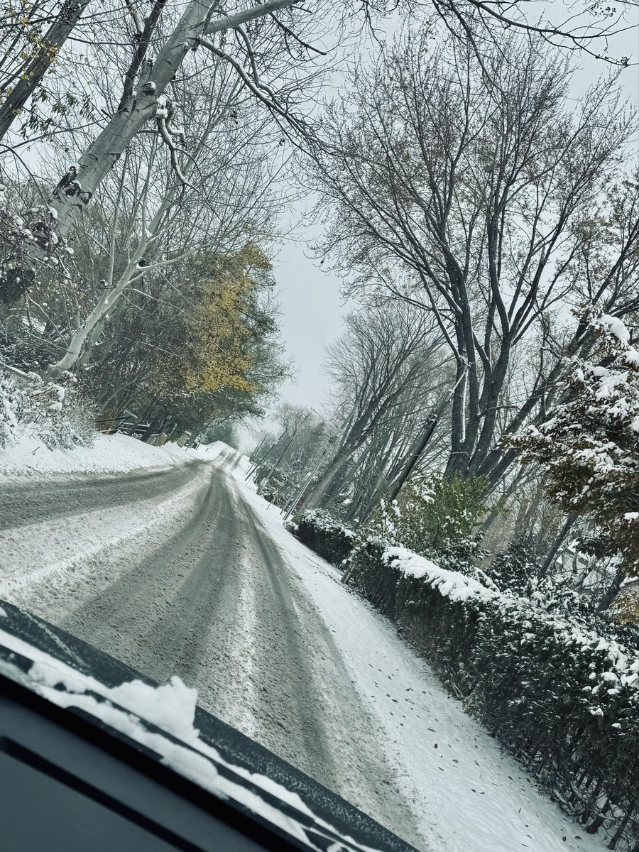 المواسم،، 
صور من ذاكرة هاتفي 📸
لحظات عبرت بخفّة وتركت أثراً ناعماً بصمت..