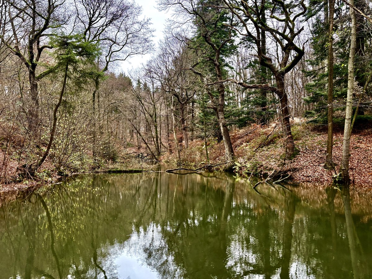 gerardrigter's tweet image. De stevige Pieterpad-wandeling van Gennep naar Groesbeek zit in de knip. Zestien mooie kilometers via de oude PP-route langs het Reichswald en over de Sint-Jansberg. Aan de meet stonden er 175 hoogtemeters op de teller.
Track: connect.garmin.com/modern/activit…