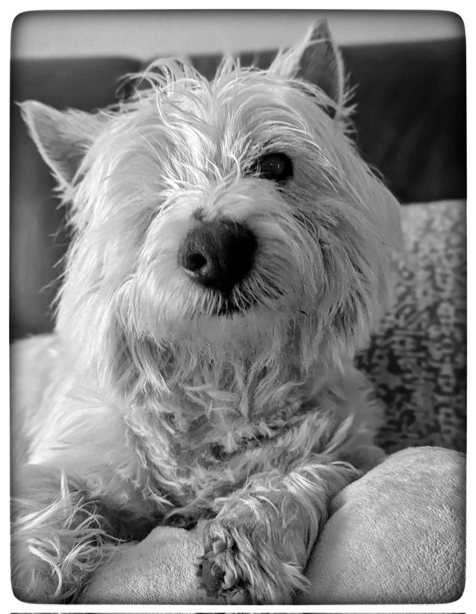 suzanne masters tweet media