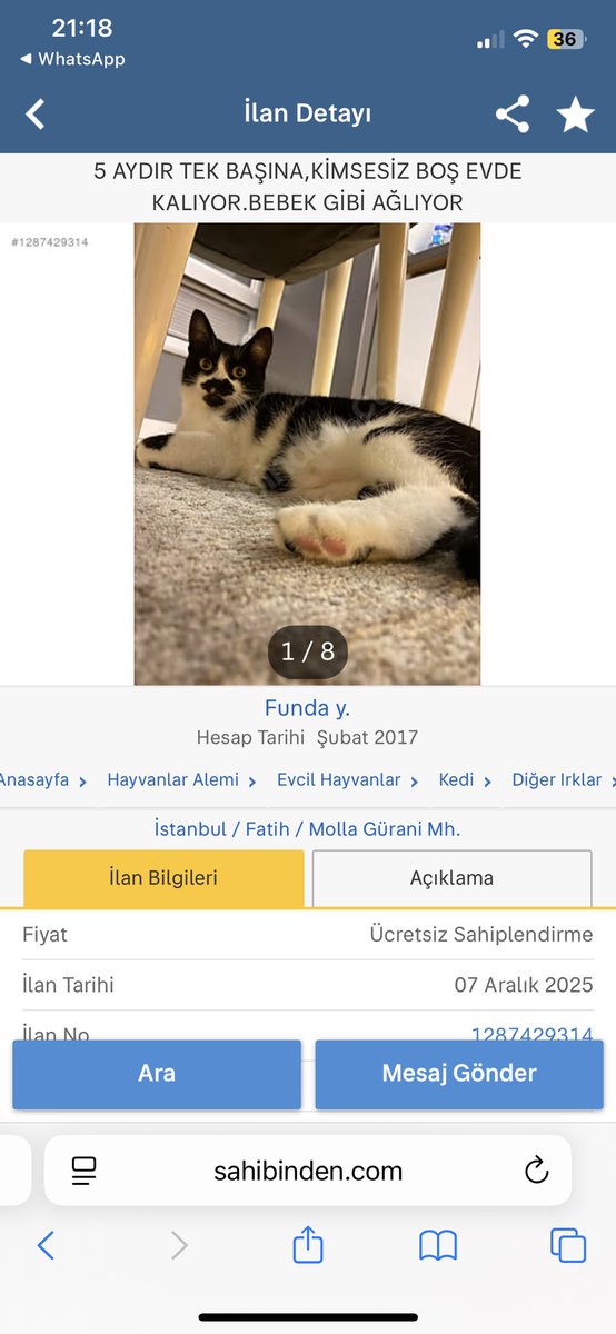 joeyjellybeanc's tweet image. ACİL YUVA İSTANBUL FATİH. İLANI YAYAR MISINIZ

Link: sahibinden.com/ilan/hayvanlar…