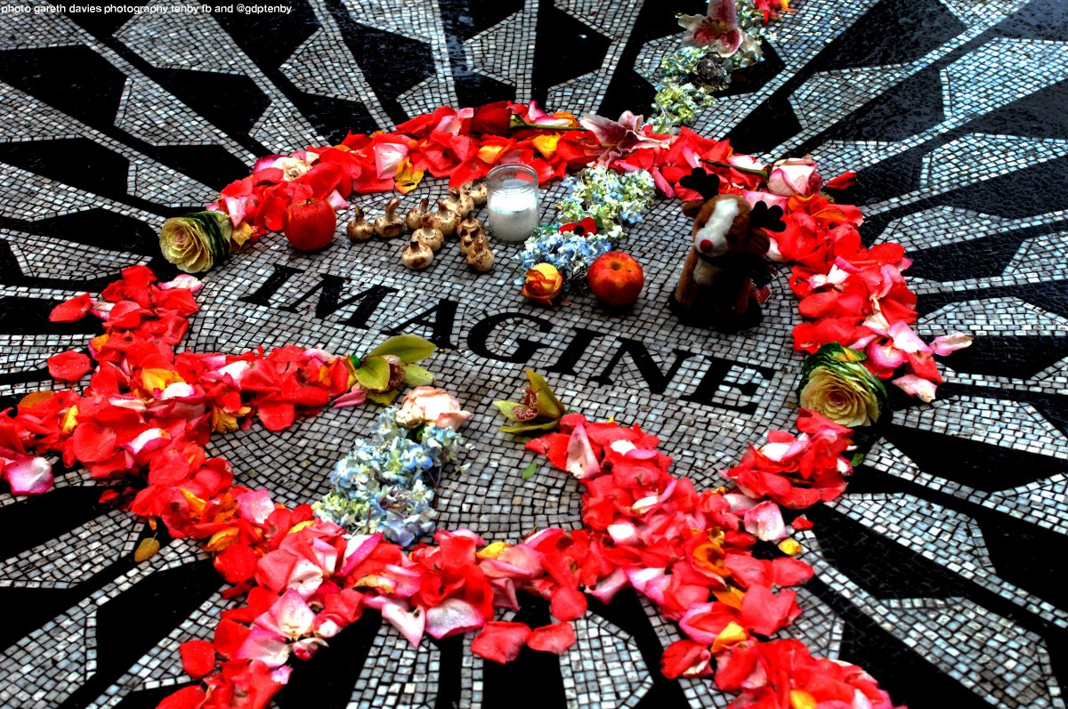 Gareth Davies Photography Tenby tweet media