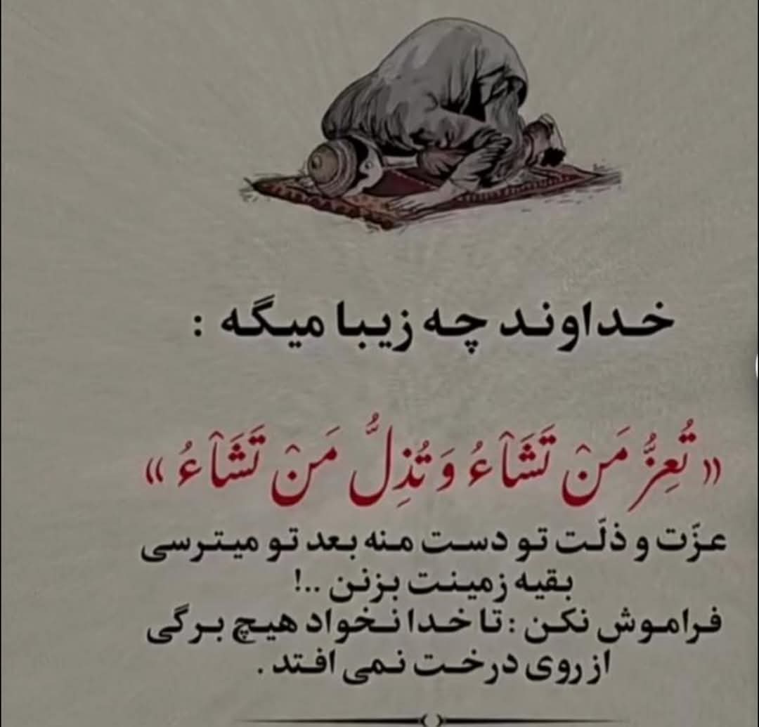 Mahib Frotan (@frotanmahib) on Twitter photo 