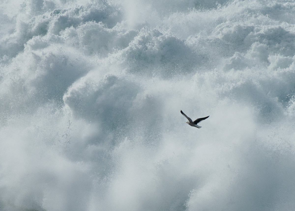 These are not clouds.