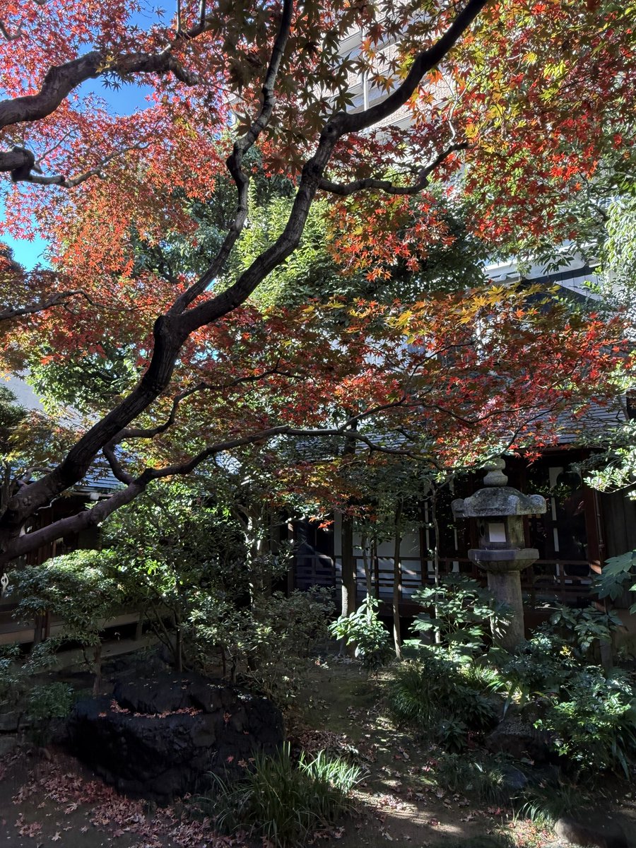 ☆megu☆ (@meguhappy321) / Posts / X