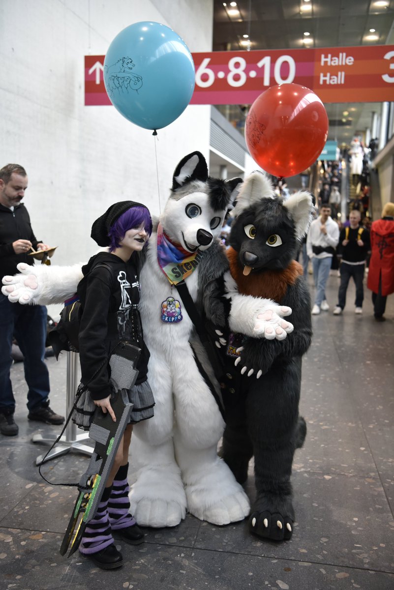 Kiba_Wolfy ▶️ @EF29 tweet media