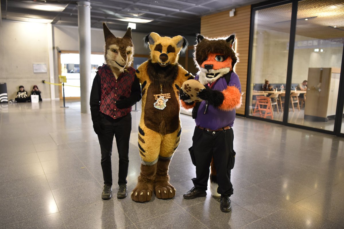 Kiba_Wolfy ▶️ @EF29 tweet media