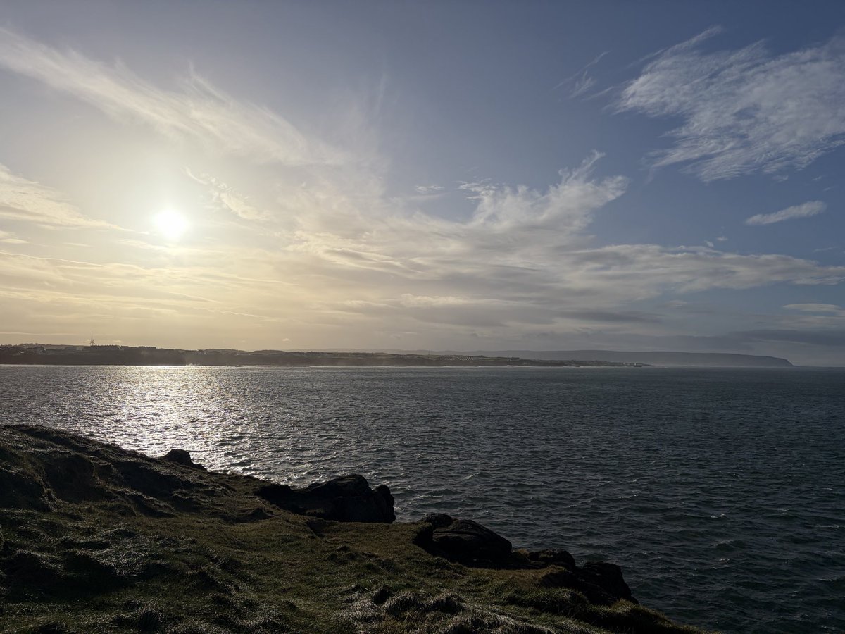 Tweeter of Wit tweet media