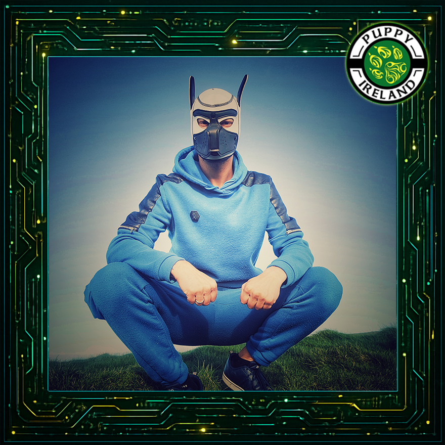 Introducing #PuppyIreland2026 Candidate  #2 - Pup Bruno

Pup Bruno is a playful, childish, naughty and mature pup at the same time, enjoying life and road trips! Hope to meet you all in one way or another (online or in real life)and create connections that could bond us for life.