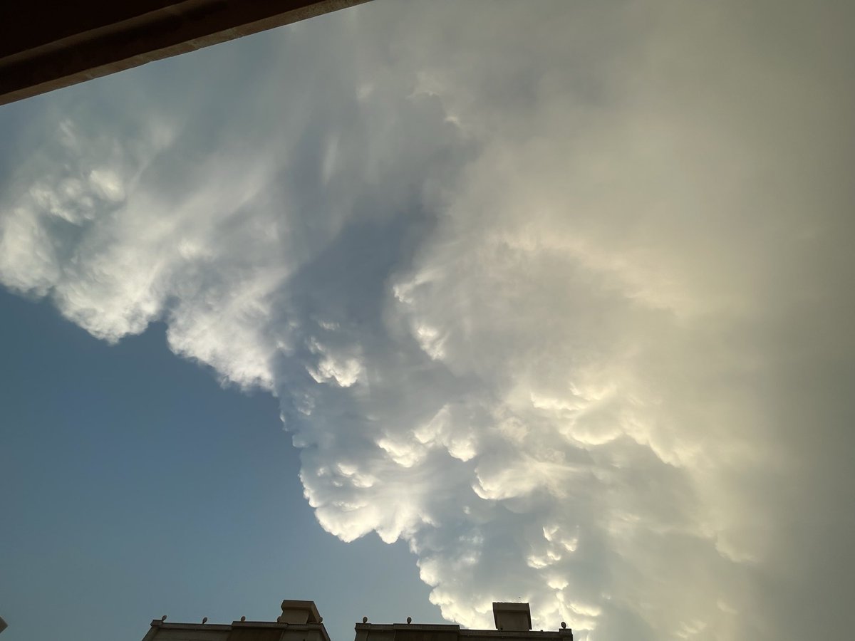 The Lightness of Being tweet media