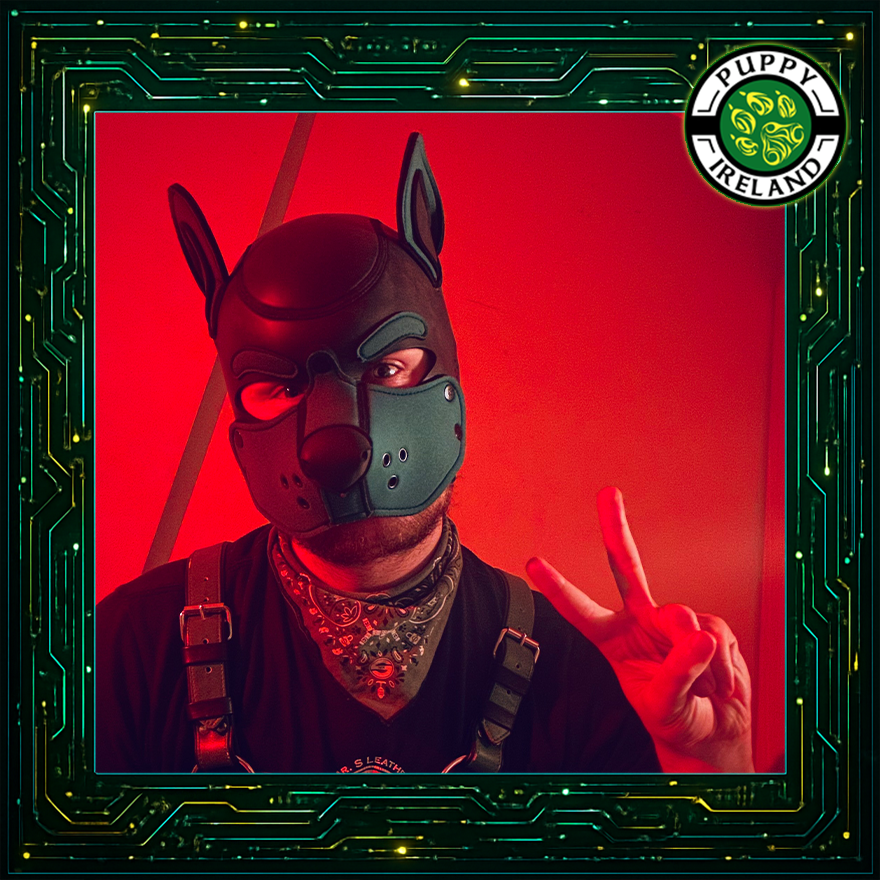 Introducing #PuppyIreland2026 Candidate  #3 - Pup Rinus 

A spooky, artsy, storytelling pup with a love for bondage, barking and bellyrubs. When he's not being tied up like a good boy, he can be found causing mischief, creating art, and yapping about Irish mythology to all