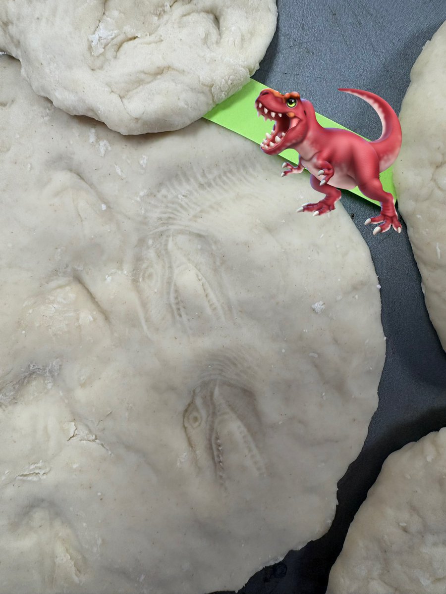 Class 3 Highfields tweet media