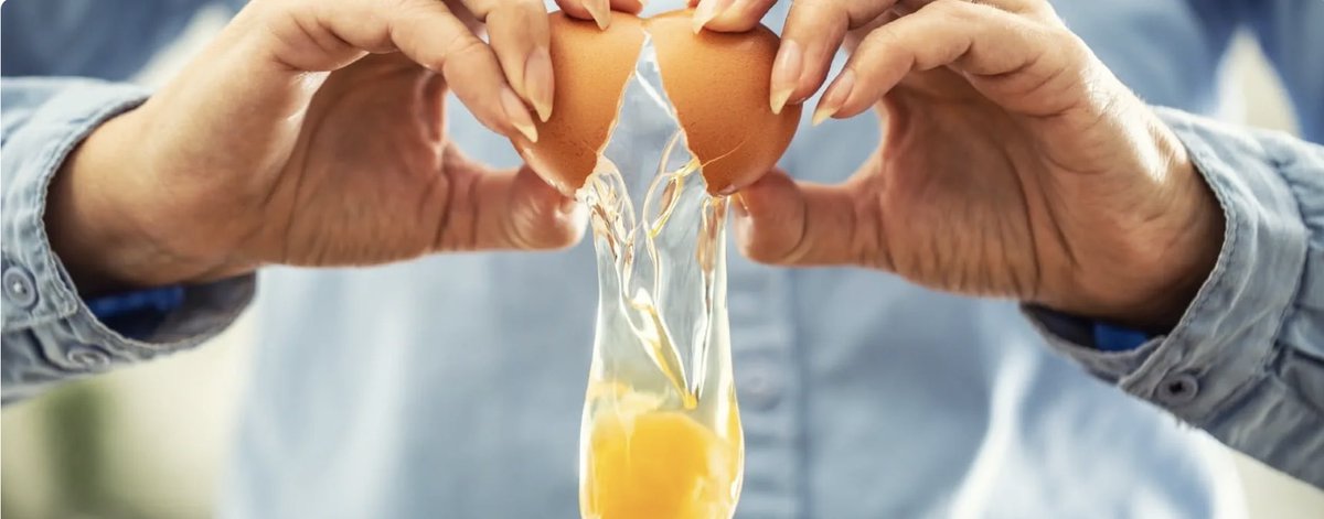 Nutrition@Roehampton tweet media