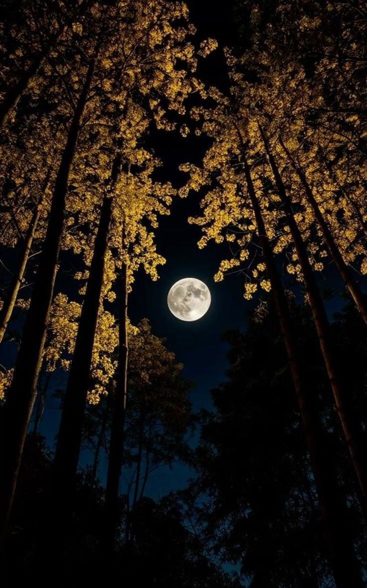 ¡Momento de escribir! ✍🏻☺️

Crea una historia, poema o microrrelato que esté inspirado en la siguiente imagen. ⬇️