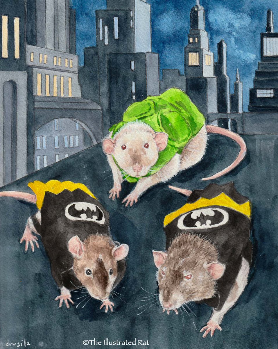 Dom, Beatrice &amp; Henry Righting Crime in Gotham. Watercolor/gouche, 8" x 10." #theillustratedrat #watercolorpainting #petportrait #ratart
