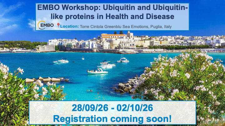 Rachel O Dea tweet media