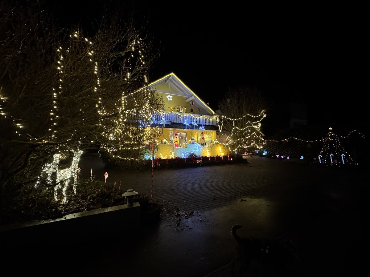 Struppi the dog and Zorro! tweet media