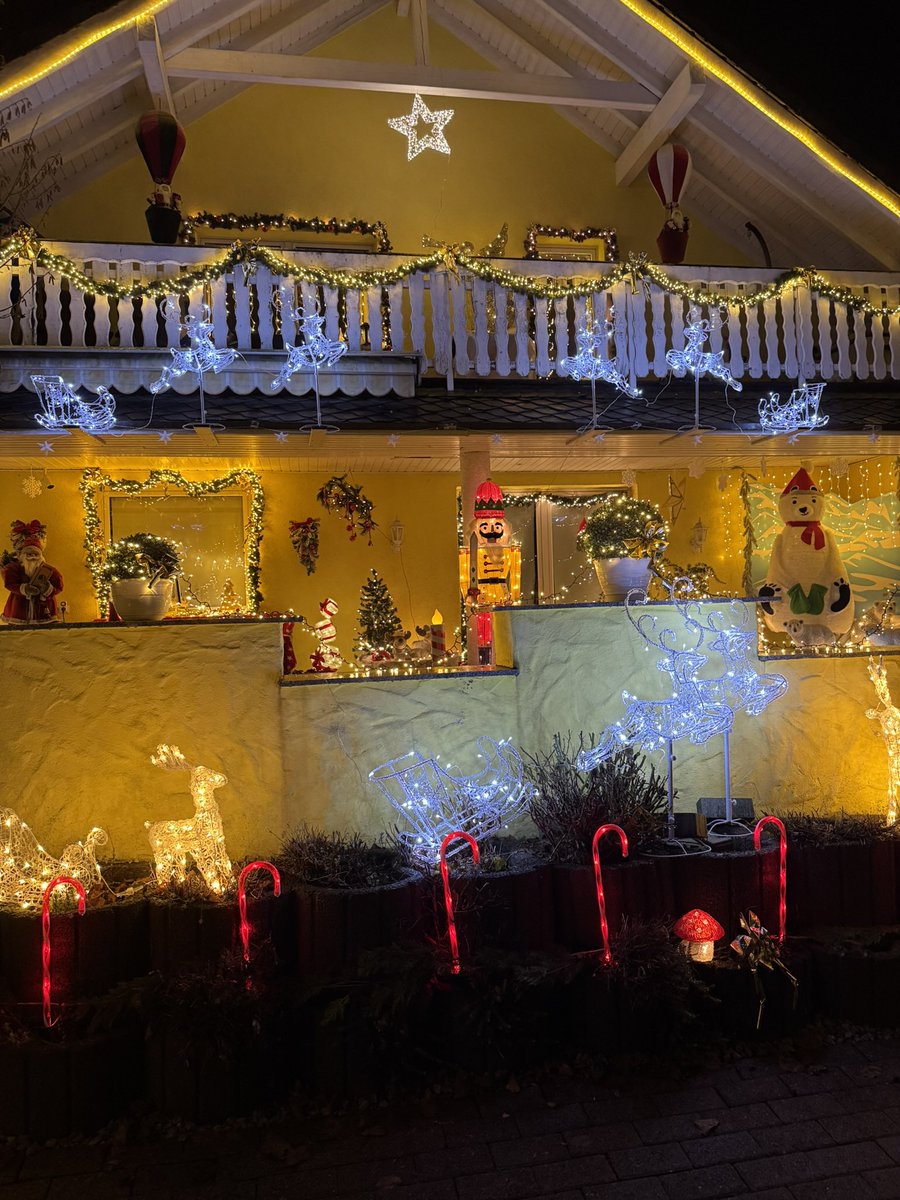 Struppi the dog and Zorro! tweet media