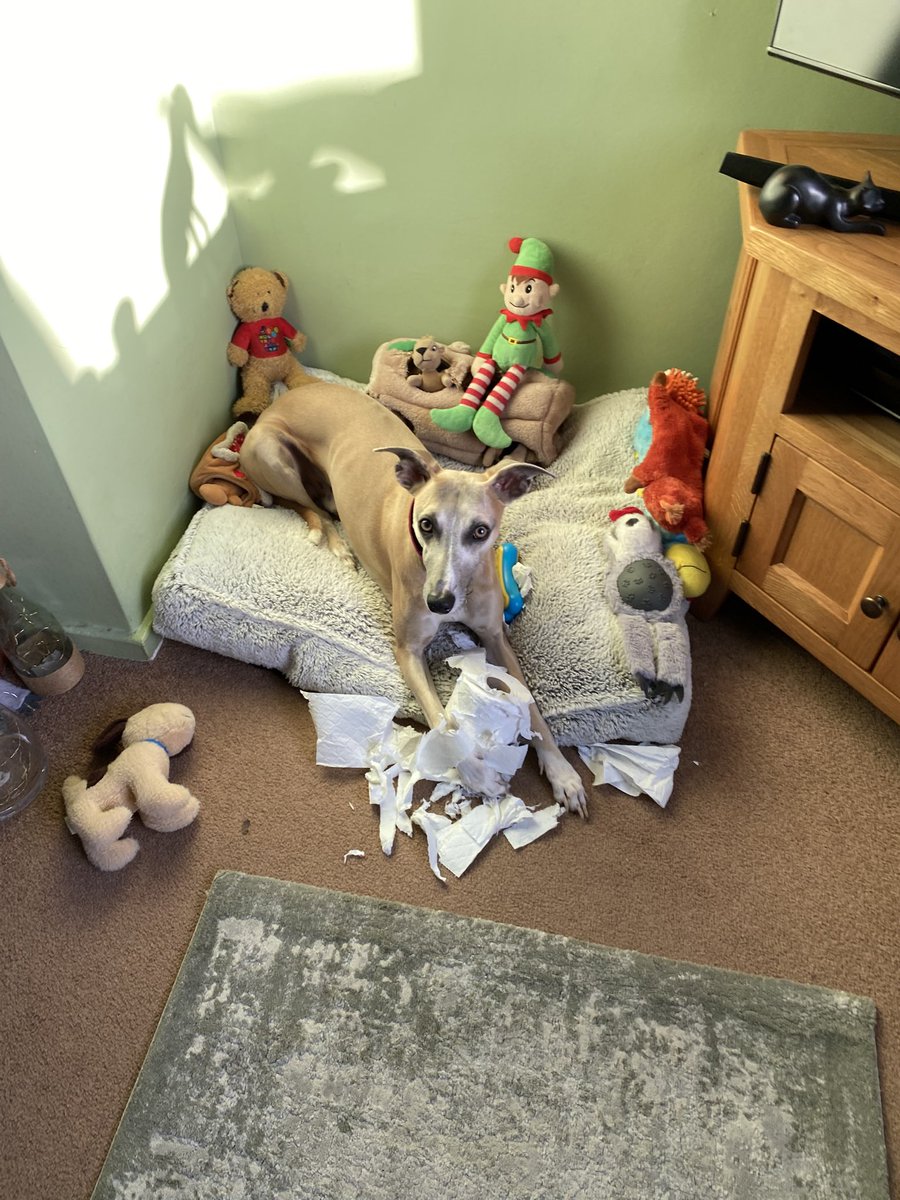 Kay Race tweet media