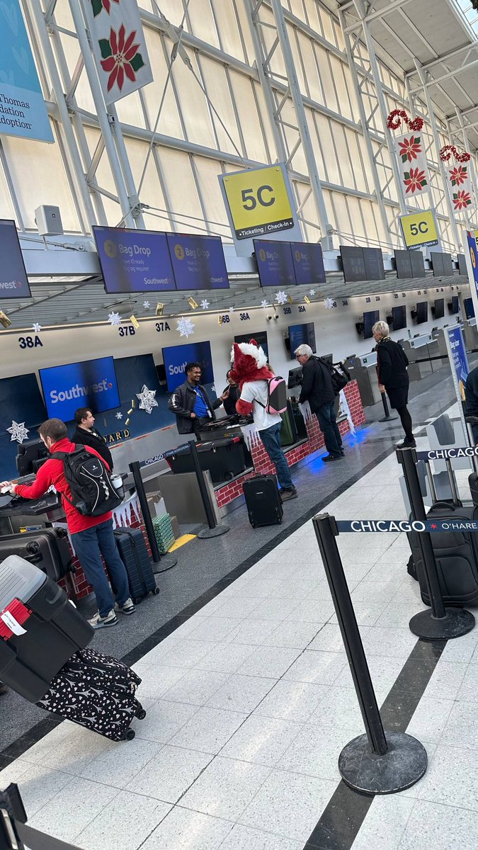 danderwoolf's tweet image. Leaving MFF 😔