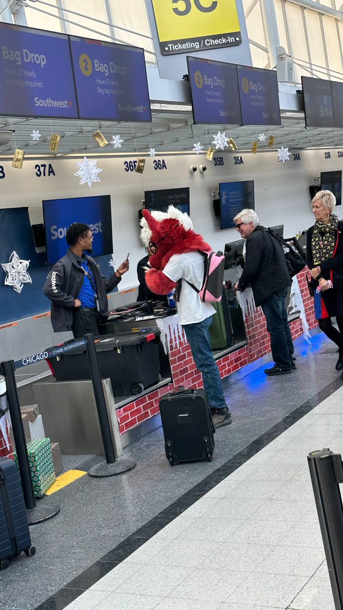 danderwoolf's tweet image. Leaving MFF 😔