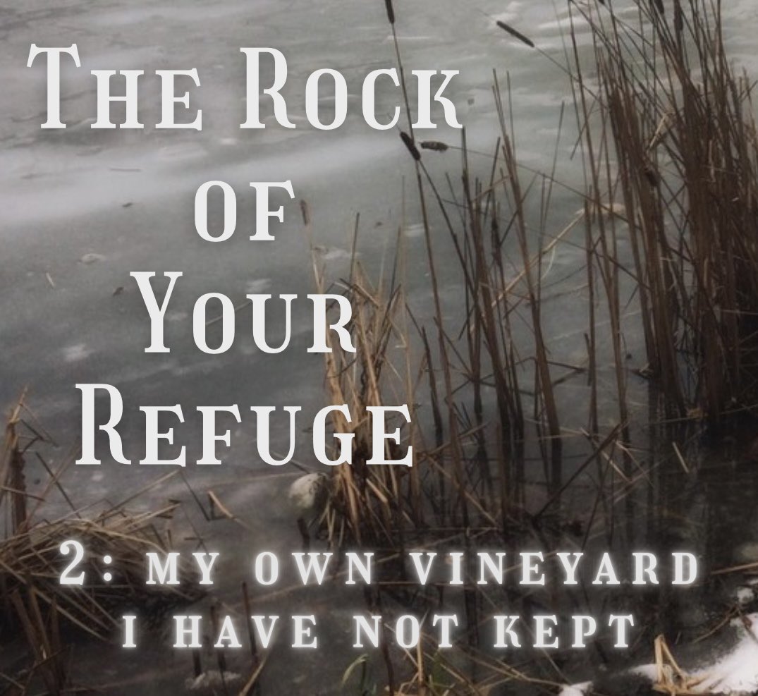 Chapter two of The Rock of Your Refuge is up! We finally get to check in with our poor Father Fell 🥀✨📿

archiveofourown.org/works/73652556…