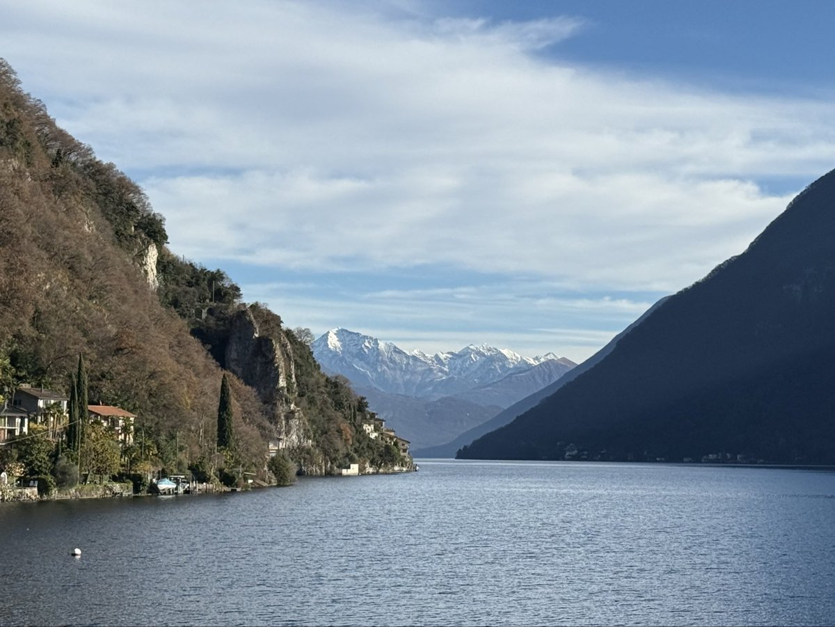 Riccardo De Carlis tweet media