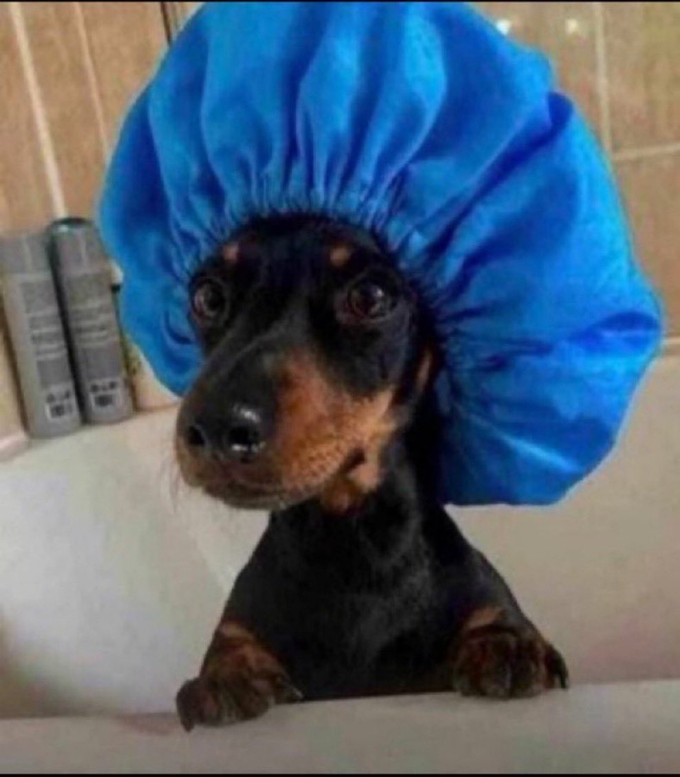 Una Backyard don catch fire