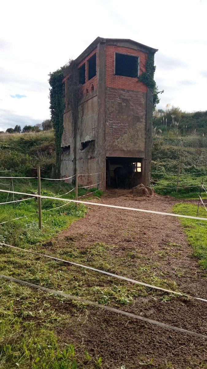 Solid Neon - Wishlist PECADO tweet media