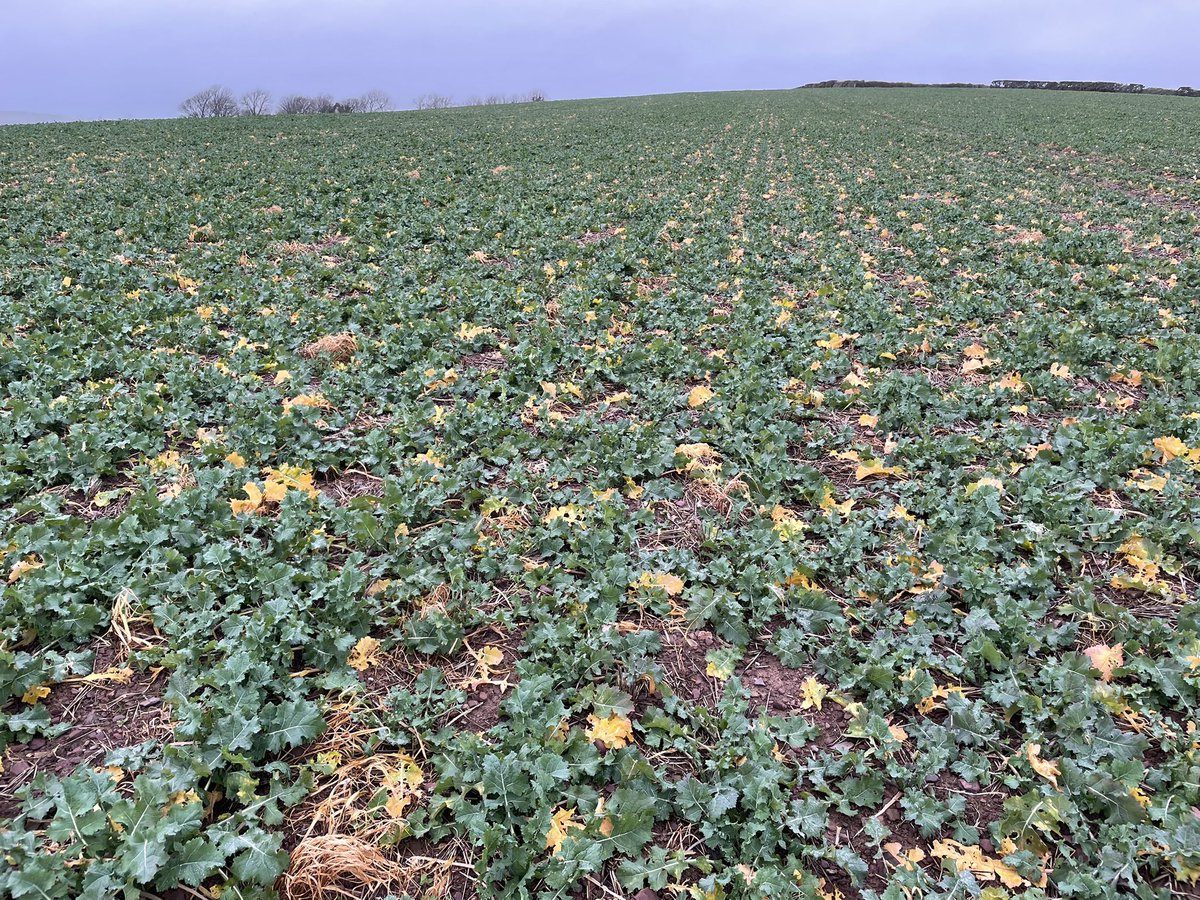 John Dunne tweet media