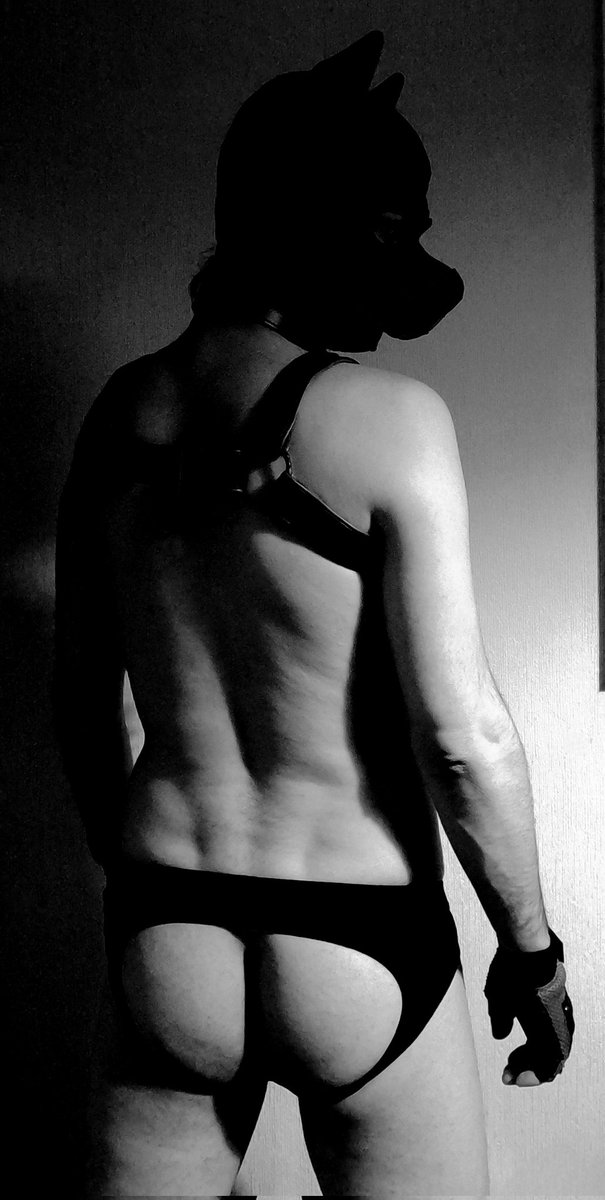 Red Wolf Pup ❤️🖤❤️ tweet media