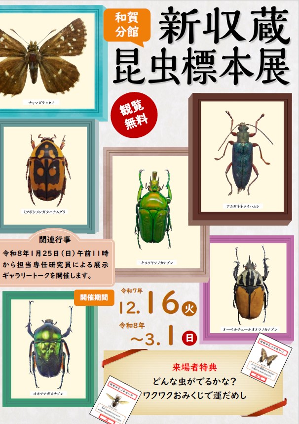 北上駅観光案内所です。 博物館和賀分館企画展『新収蔵昆虫標本展』の