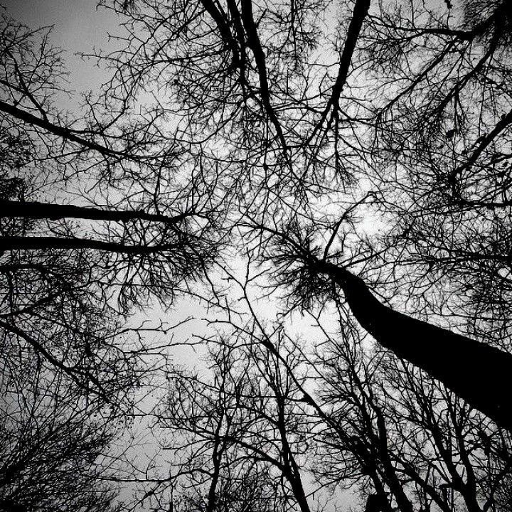 𝔴𝔢𝔡𝔫𝔢𝔰𝔡𝔞𝔶 (@gh0stfacegf) on Twitter photo 