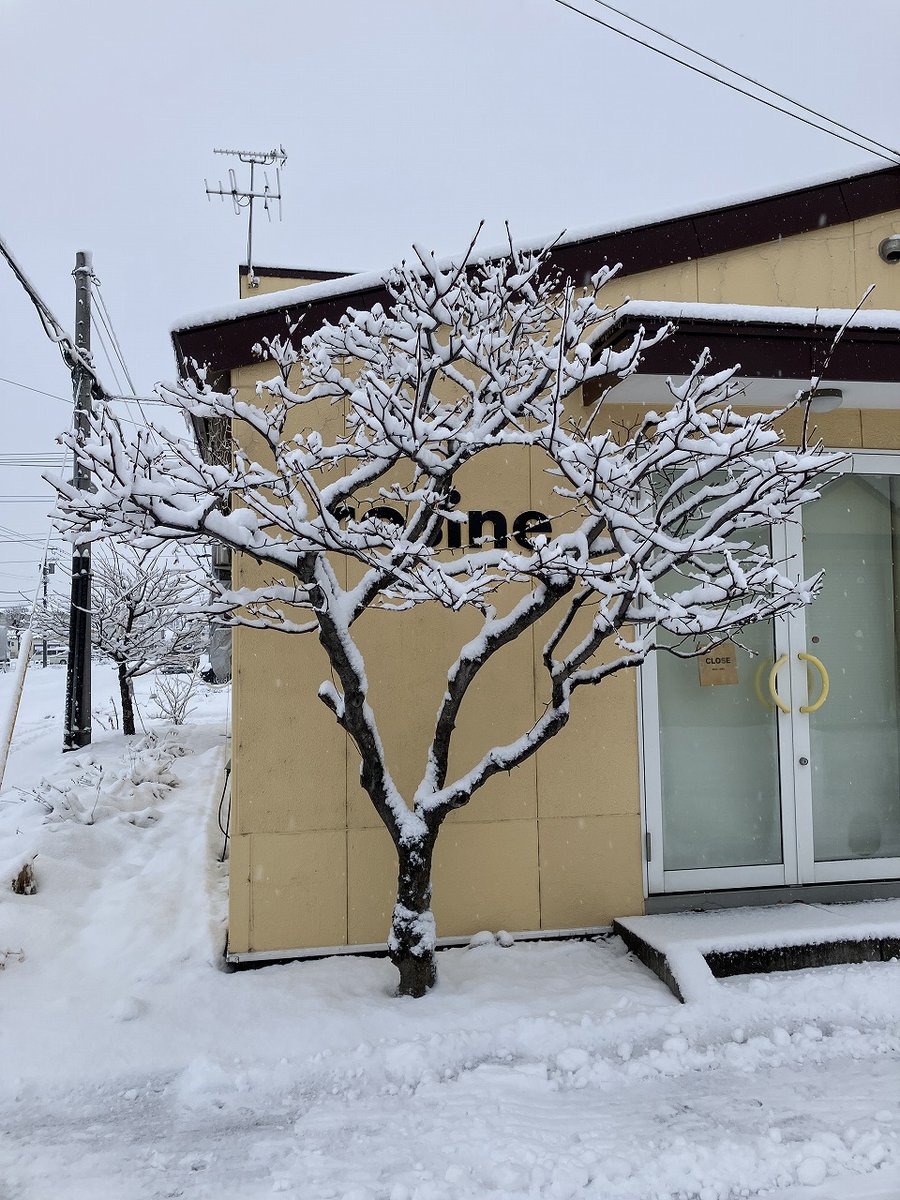 cosine_com's tweet image. 「心がざわつく瞬間と、ほっとする木のぬくもり」
わくわく様です。
昨夜、久しぶりに少し大きめの地震がありました。
青森県では震度6強、北海道でも津波が観測され、旭川も震度3の長い揺れに包まれました。
お風呂に入っていた妻は「めまいがしたのかと思った」と話し
x.gd/rejZI