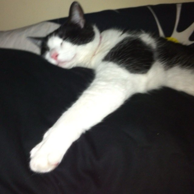 yo abrazando mi almohada porque alguien no sabe teletransportarse