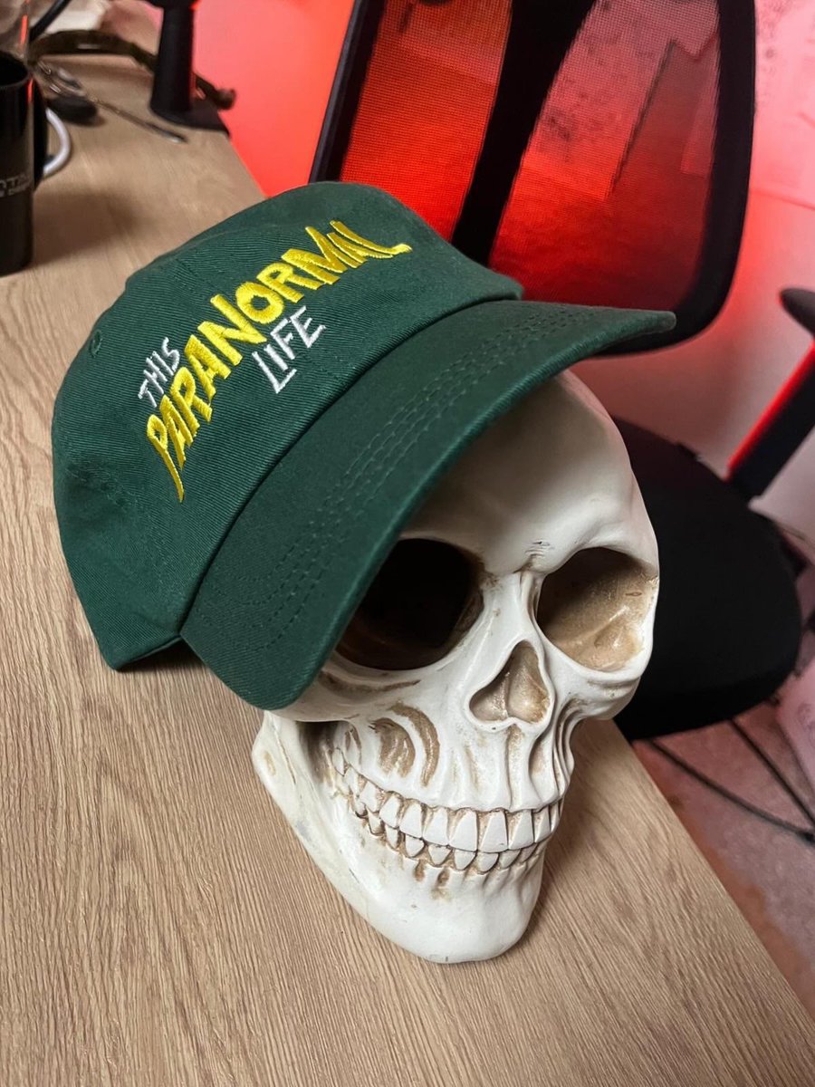 This Paranormal Life tweet media