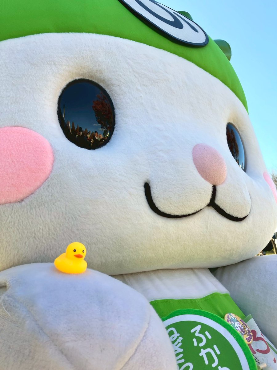 おはよ♪今日も暖かい日差しがきもちいいよぉ!!12月なのに暖かいよね