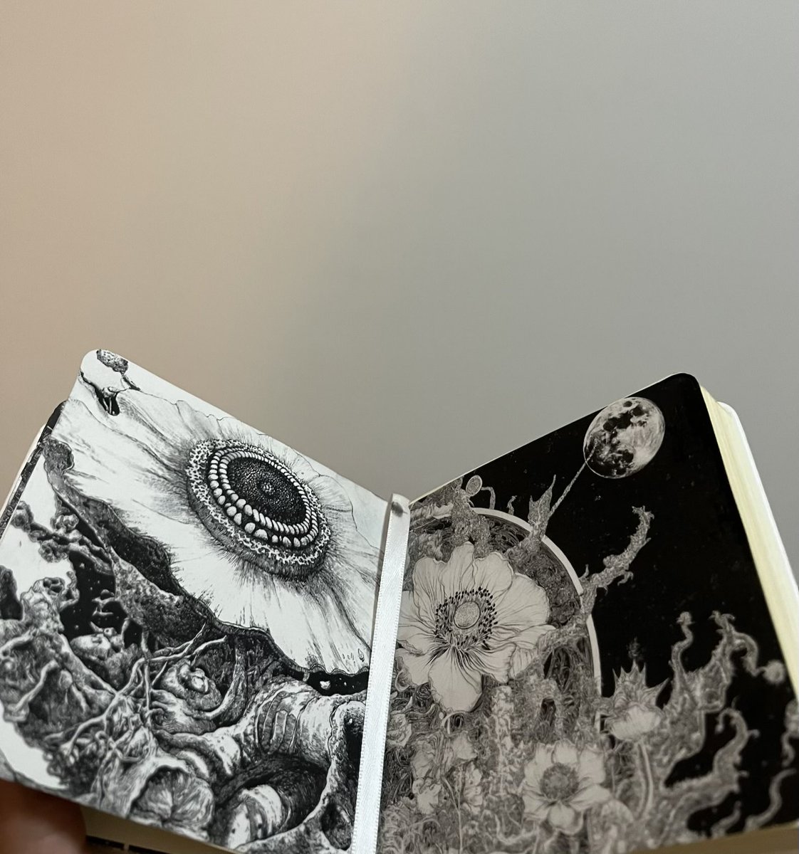 Slivereign's tweet image. 2025 through my lens 📝