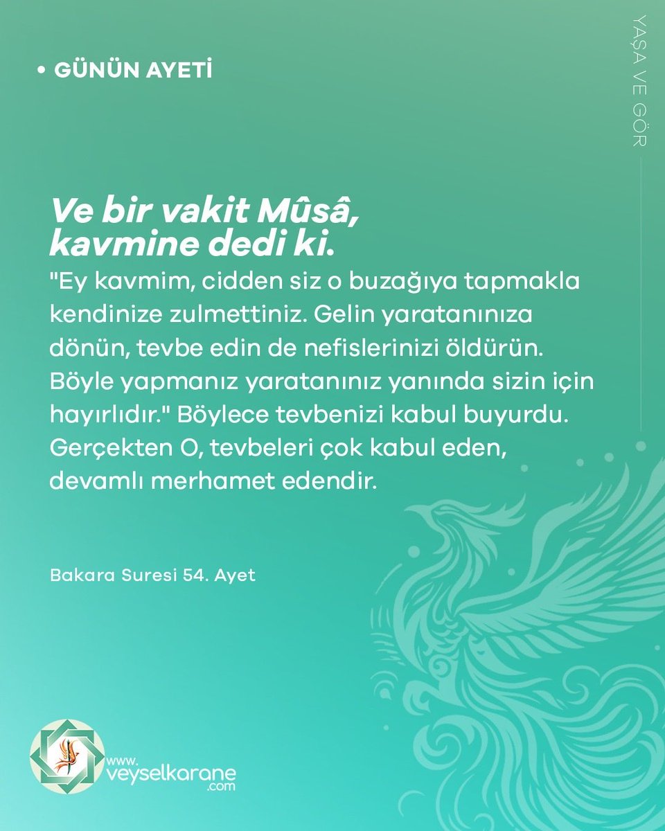 veyselkarane's tweet photo. https://t.co/sCalmnVnLT