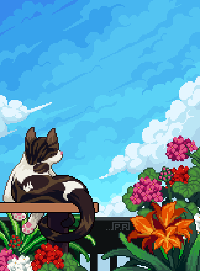 Paulina Riva 🎨 tweet media