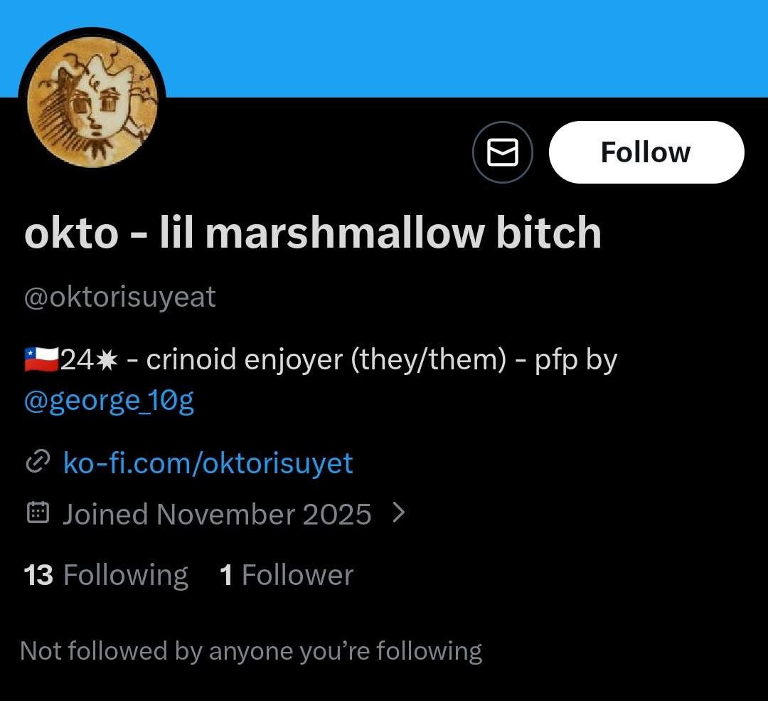 just found out they're back at it so pls be careful!!! i NEVER d//m potential clients, if possible please go report!!!!!