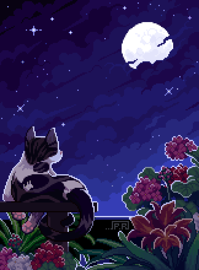 Paulina Riva 🎨 tweet media