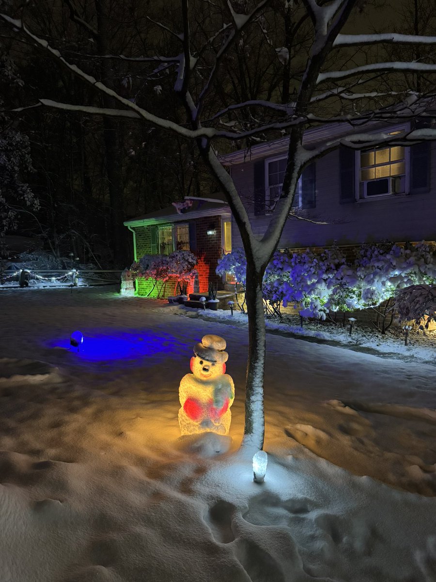 MatthewLavan's tweet image. lately 🤷🏻‍♂️