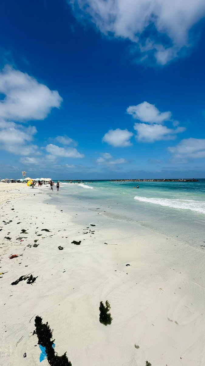 Modixt1's tweet image. 🎭✨️