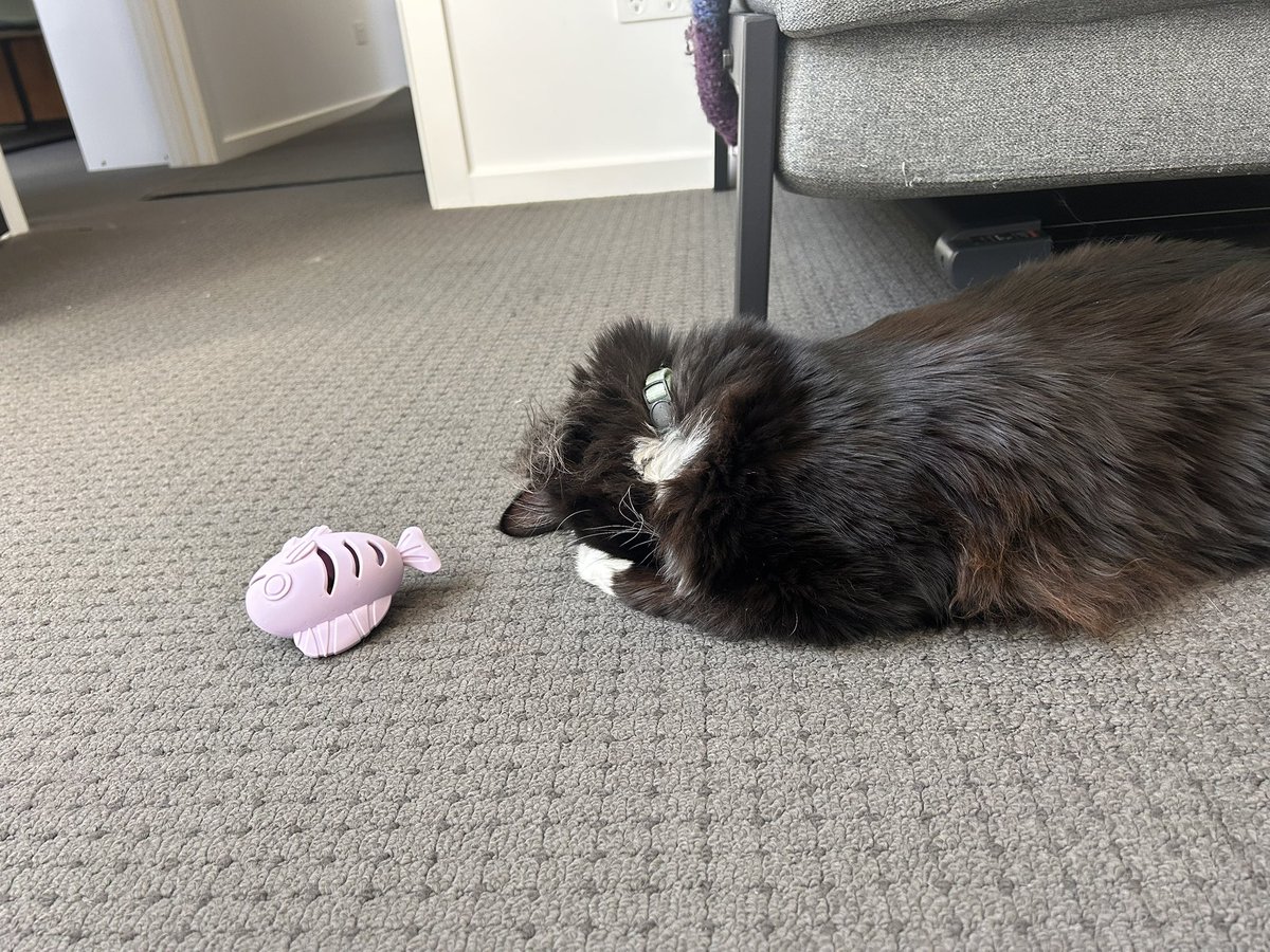 Teaniel Marie tweet media