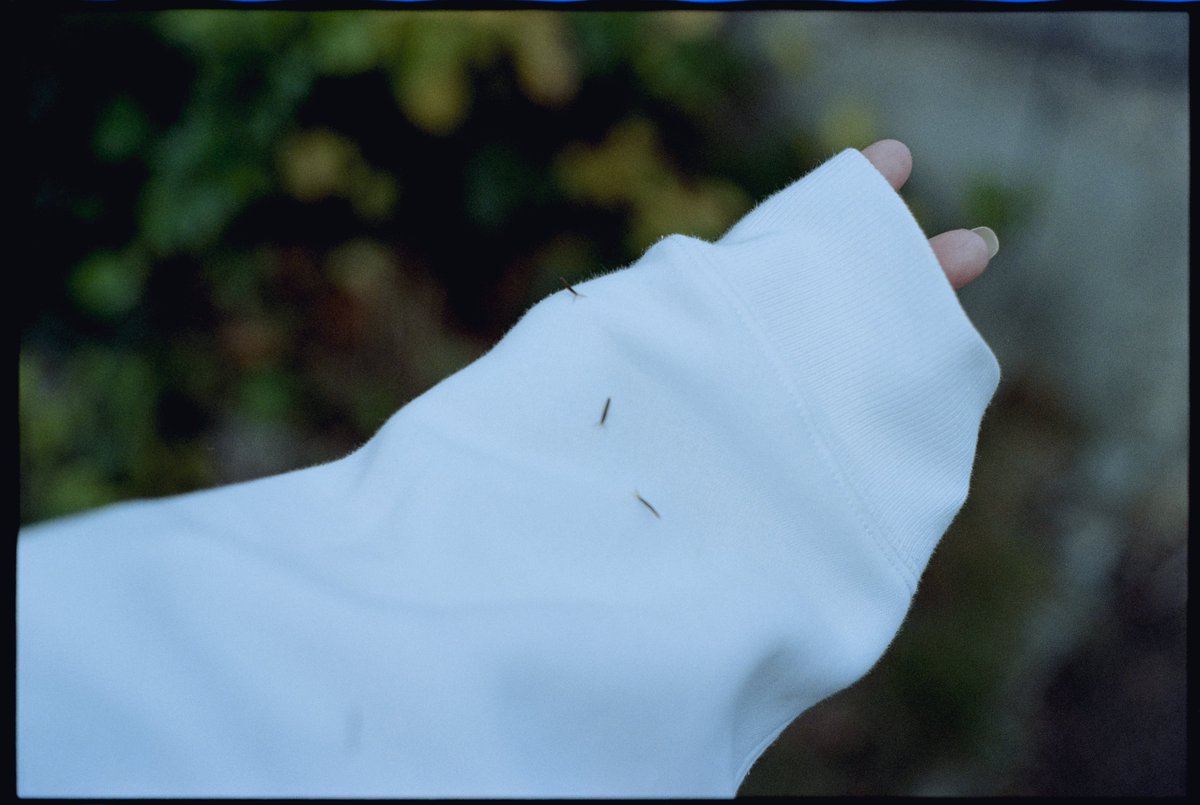 小豆 azuki (@79mg_photo) / Posts / X