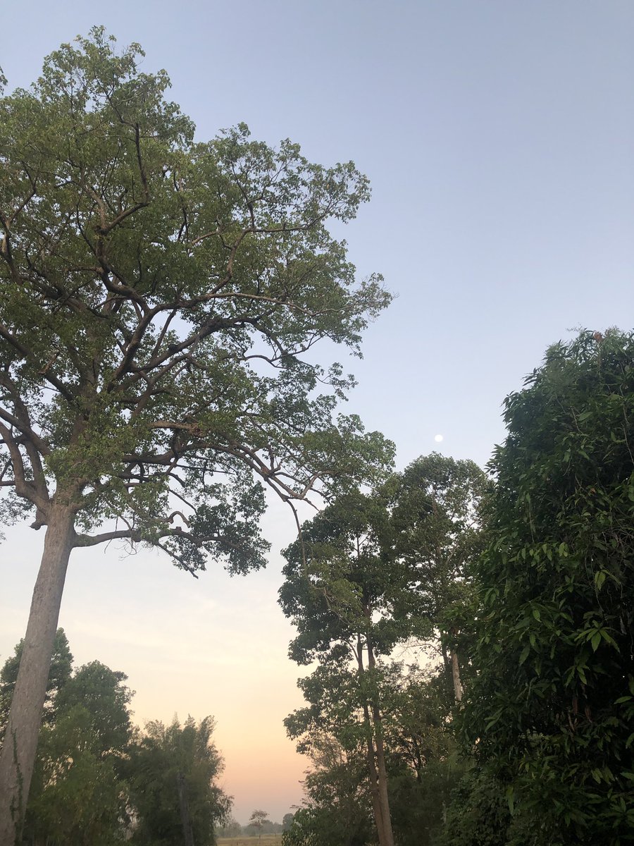 applemealone's tweet photo. เห็นดวงจันทร์มั้ย 🌝 https://t.co/dH1bvyR8pN