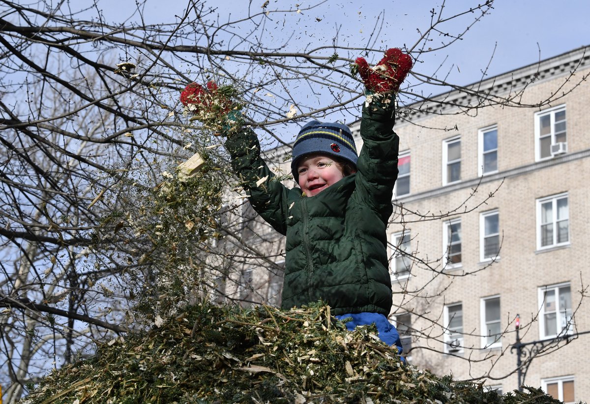 Holiday tree today, eco-friendly mulch tomorrow!  Drop off your Christmas tree Dec 26 - Jan 11 at Prospect Park's Third Street, Lincoln Rd or Park Circle entrances. Mulchfest volunteers needed Jan 10 + 11 to chip trees and distribute mulch! Sign up today: prospectpark.org/events